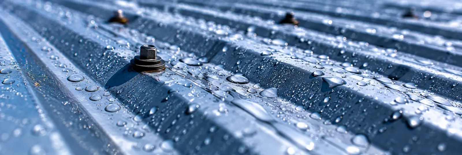 Toiture métallique mouillée avec fixation sous la pluie